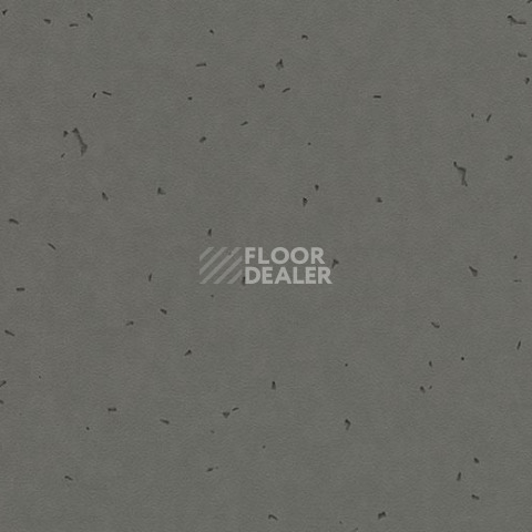 Линолеум Forbo Sphera Energetic 50215 ebony фото 1 | FLOORDEALER